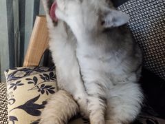 -不舍昼夜咖啡馆