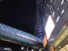 -爱雍·乌节