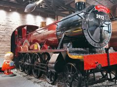 -苏格里岛自助海鲜火锅烧烤(大汉悦中心店)