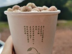 -红土地风景区