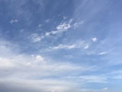 -德禄酸奶(莫家街店)