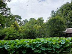 -成都杜甫草堂博物馆