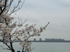 -阳澄湖半岛旅游度假区