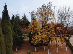 -烟台山景区