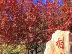 -香山公园