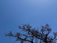 -华山风景名胜区