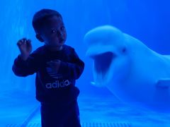 -多彩贵州城极地海洋世界