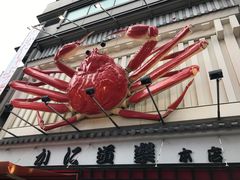 -蟹道乐(道顿堀本店)