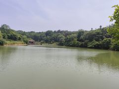 -宜兴龙背山森林公园