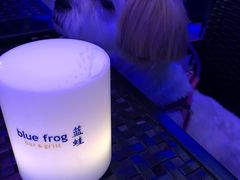 -bluefrog蓝蛙(皇庭广场店)