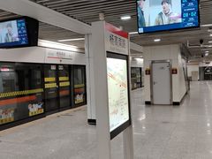 -杨高南路(地铁站)