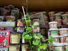 -九木杂物社(大族广场店)
