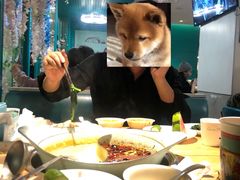 -青瓷火锅料理(西单大悦城店)
