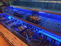 -OPEN開全日自助餐厅·西餐·海鲜(佛山希尔顿酒店)