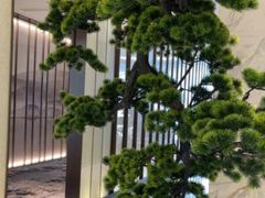 -固元堂(摩方分院)