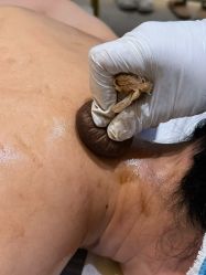 点击看大图 -阅年轻·AI家庭健康体质调理