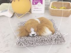 -罗伯特眼镜·蔡司官方授权(罗湖国贸店)
