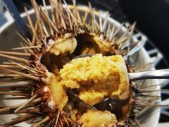 -花见无国界料理(科林楼店)