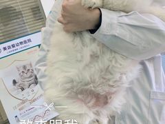 -美迦爱-动物医院·骨科·牙科·夜诊(朝阳路诊疗中心)