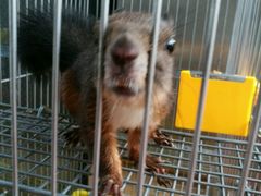 -有才叔的小馆(招商依云曲江店)