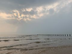 -日照海滨国家森林公园