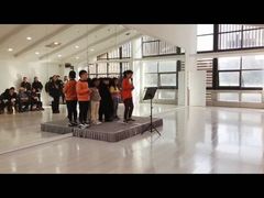 -西安小天鹅艺术团(曲江Alice店)