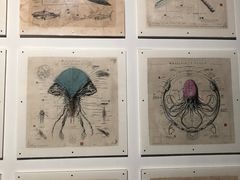 -浙江西湖美术馆