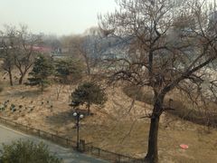 不二禅茶院-不二茶空间·养生宴(石景山店)