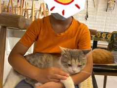 -平行世界·猫咖(首经贸店)