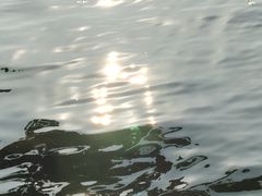 -西湖游船