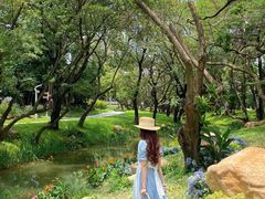 -人民公园(罗湖区)