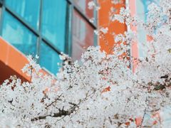 -西安创业咖啡街区