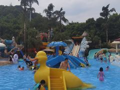 -重庆海昌加勒比海水世界