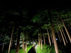 -上海怡沁园度假酒店