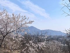 -白水寺森林公园