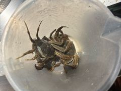 -海汕记·潮汕鲜牛肉火锅·自助