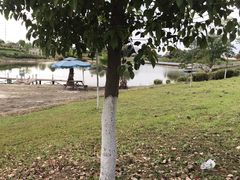 -紫颐香薰山谷景区