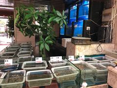 -菲乐餐厅(三十年经营·湖滨路店)