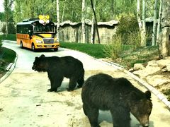 -北京野生动物园