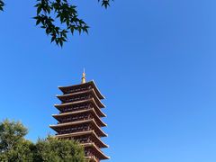 -牛首山文化旅游区