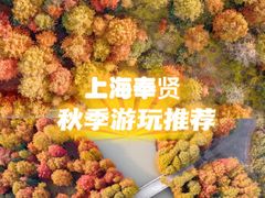 -上海海湾国家森林公园