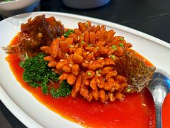 -秀儿四九城·新京菜(亚运村鸟巢店)