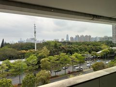 -百年果林椰子鸡(中洲店)