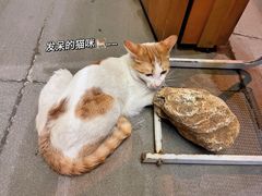 -少林功夫文化中心·独门独院
