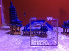 -芜湖新华联大白鲸海洋公园