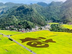 -万峰林风景区