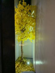 -美壹生诊所皮肤管理中心·海菲秀&Legacy美白舱
