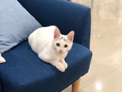 -iF摄影•全家福•证件照•形象照(南山店)