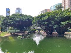 -九龙公园