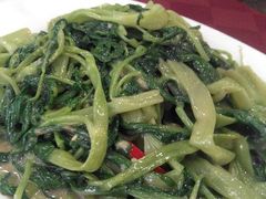 android_upload_pic-佛有缘素食馆·荔湾老字号(陈家祠首店)